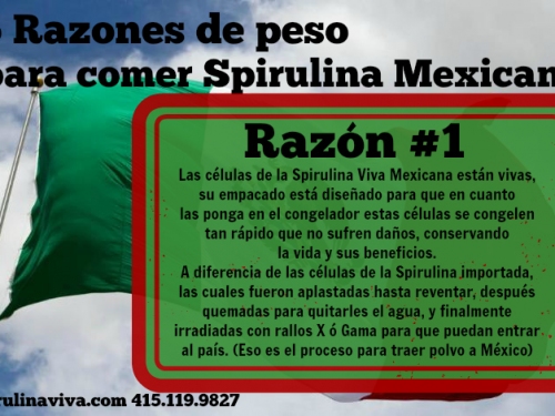 5 razones para comer Spirulina Mexicana!